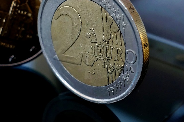 2 euro, mince – detail